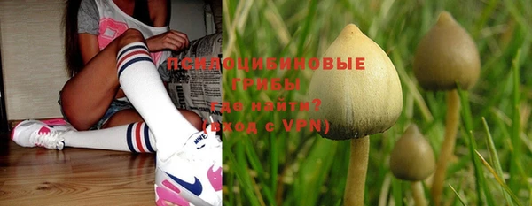 хмурый Абинск