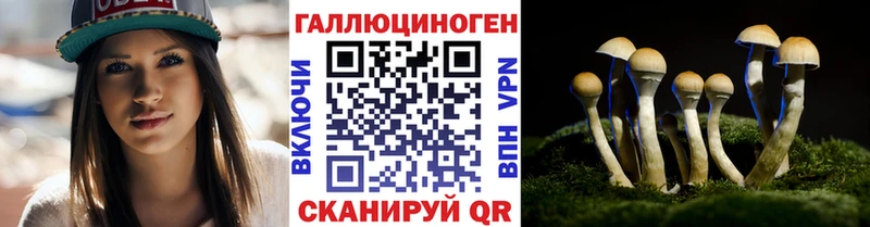 Галлюциногенные грибы мицелий Нахабино